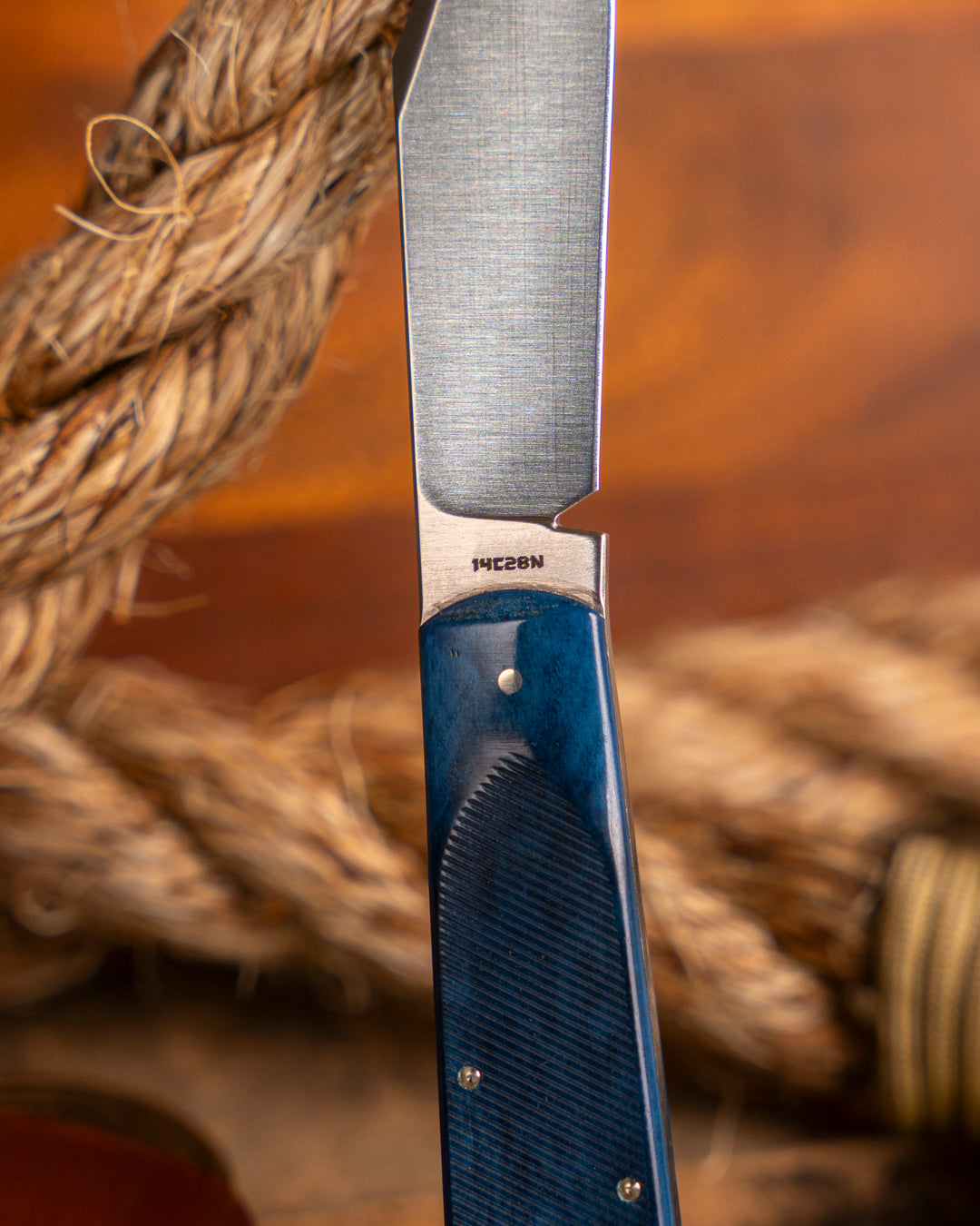 Jack Wolf Knives-Jack Wolf Knives GATEWAY FIXedc - SAWCUT BLUE BONE-4-Urban Cutlery